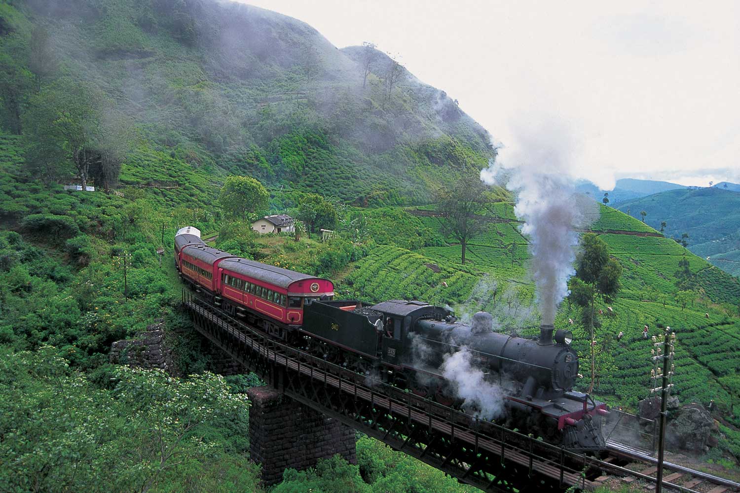 sri lankan tours, train in tea estate srilanka